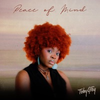 Peace of Mind (Remixes) - Single - Toby Grey