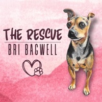 The Rescue - Single - Bri Bagwell