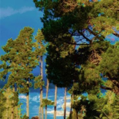 Bonnie & Clyde - Single