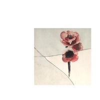 couldn't not tell you (feat. jaso & Nwakke) - Single - aloisius