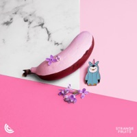 U - Single - Bodin & Dance Fruits Music
