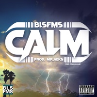 CALM (feat. TRIANGULUM) - Single - BLSFMS