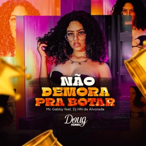 Não Demora pra Botar (feat. DJ HN DO ALVORADA)