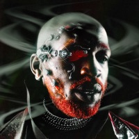 VISION NOCTURNE - rad cartier