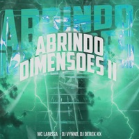 Abrindo Dimensões Ii - Single - Mc Larissa, DJ Vynno & DJ Derek XX