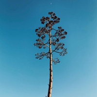 I'm Human - Single - West Coast Massive