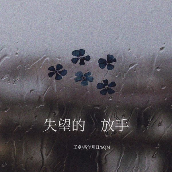 失望的放手 - Single