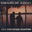 All You Ever Wanted - Single
