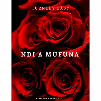 Ndi a mufuna - Single