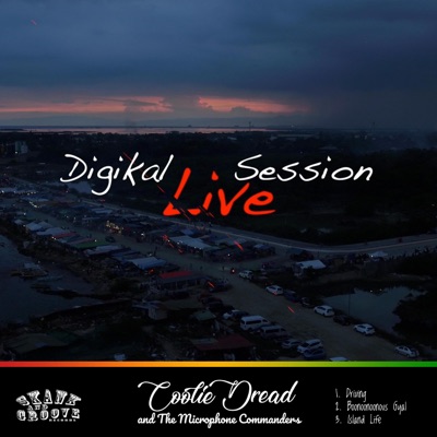 Digikal Live Session pt2 (Digikal Version) - Single