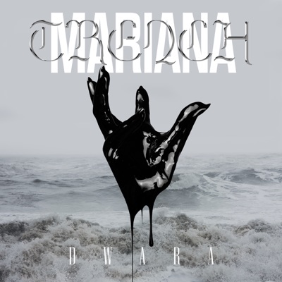 Mariana Trench artwork