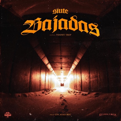 Bajadas (feat. Toony trip) - Single
