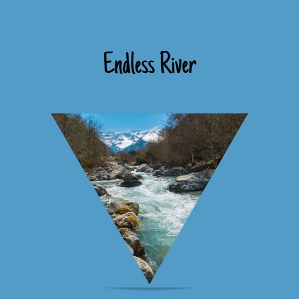 Endless River
