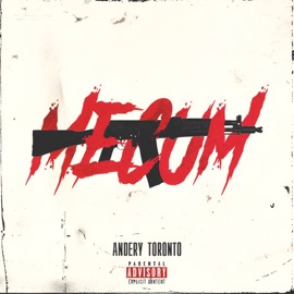 На стиле Andery Toronto