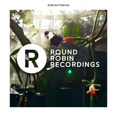 Butterflies - Single