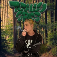 Totally Spies (feat. Kid Exotic) - Single - Scrap Metal Angel