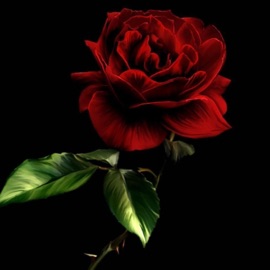 You Know (Oou) 4GN Mari