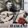 Cherif Hamani Azzulen Alayskar