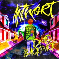 Antwort - Single - DMD Backpack