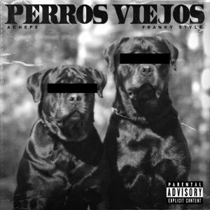 Perros Viejos