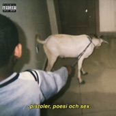 PISTOLER POESI OCH SEX artwork