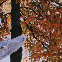 Picturesque - Single - Lil Skele