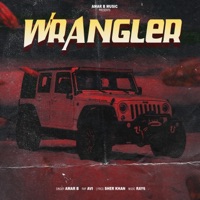 Wrangler (feat. AVI) - Single - Amar B