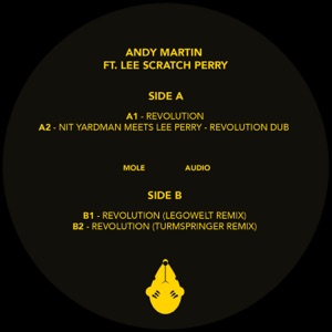 Revolution (feat. Lee Scratch Perry) - EP