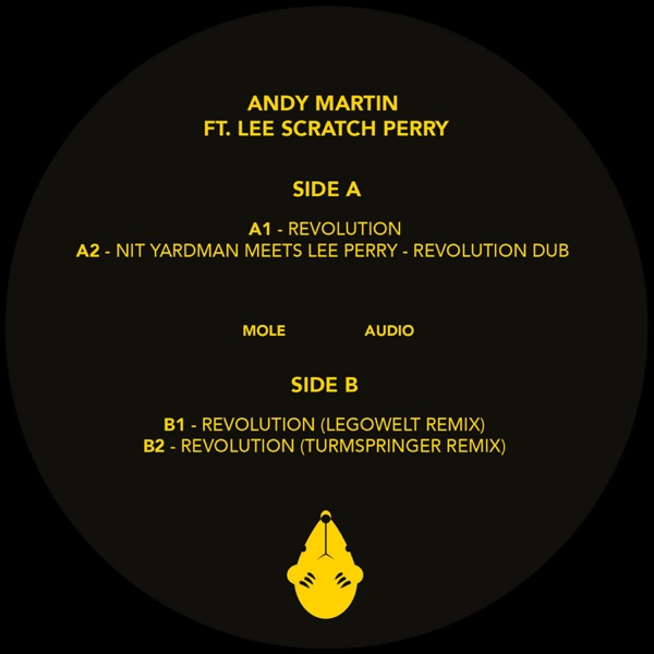 Revolution (feat. Lee Scratch Perry) - EP