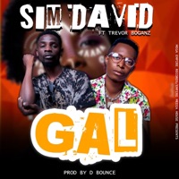 Gal - Single - SIM David (killer) & Trevor Boganz