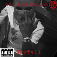 SkyFall - Single - SSR Hood DaGreat