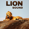 Lion Sound - Purnima Nidhi