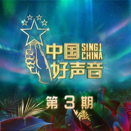 永不失联的爱 (Live) Yichun Shan