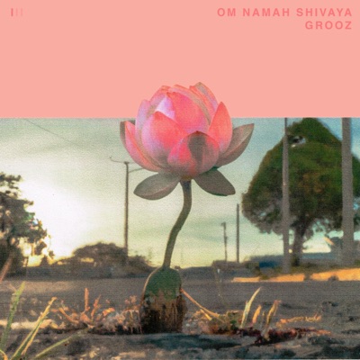 Om Namah Shivaya (1/3) - EP