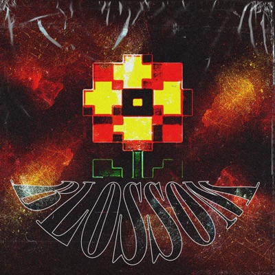 Blossom - Single