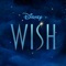 This Wish artwork