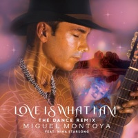 Love Is What I Am (feat. Nina Starsong) [The Dance Remix] [The Dance Remix] - Single - Miguel Montoya