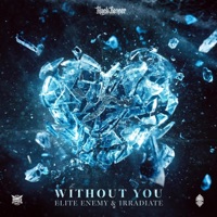 Without You - Single - Elite Enemy & Irradiate