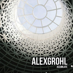 Assimilate - Single