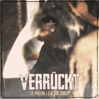 Verrückt (feat. calvinsober) - Single - Lil Preem