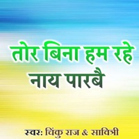 Tor Bina Hame Rahe Nay Parbe - Single - Chinku Raj & Savitri