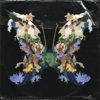 Vicecitysuperguns - Single - Venus88