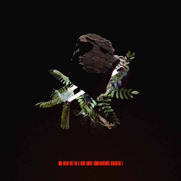Help Your Soul / Where Are We Going - Single