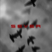 Sever (feat. Nemke) - Single - Zeus