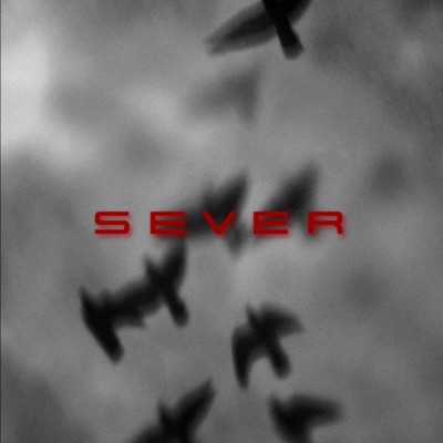 Sever (feat. Nemke) - Single