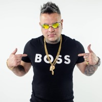 ULTRAMEDLEY MC GW - QUE FOGO É ESSE (DJSADALL e DJ LELLO) [Special Version] - Single - DJ Sadall