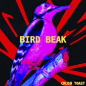 Bird Beak artwork