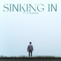 Sinking In - Single - Companyon