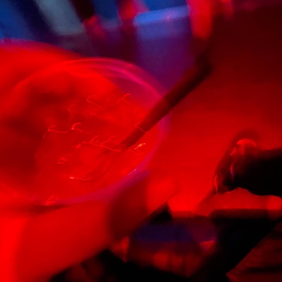 FullHouse (feat. TreDiddy) - Single