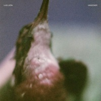 Zukunft - Single - Luis León & Unseener